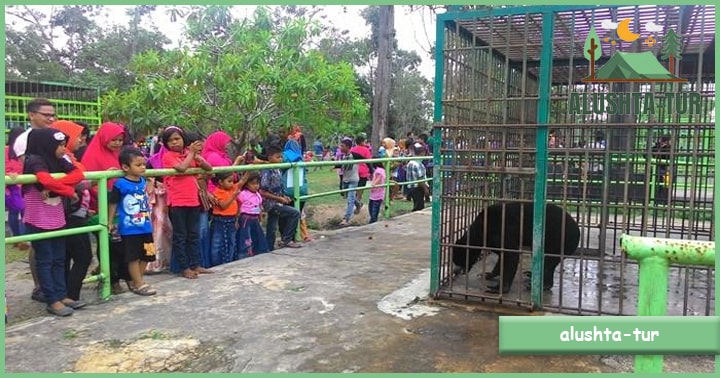 Kebun Binatang Kasang Kulim | Alushta Tur