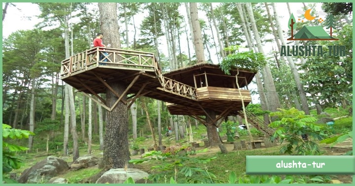 Taman Hutan Raya Pocut Meurah Intan | Alushta Tur
