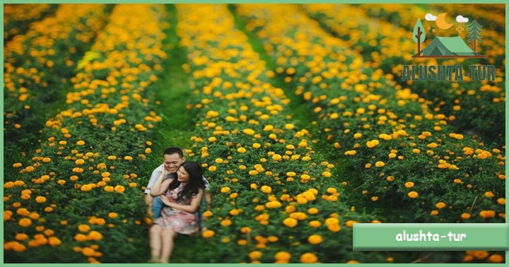 Gemitir Garden | Alushta Tur