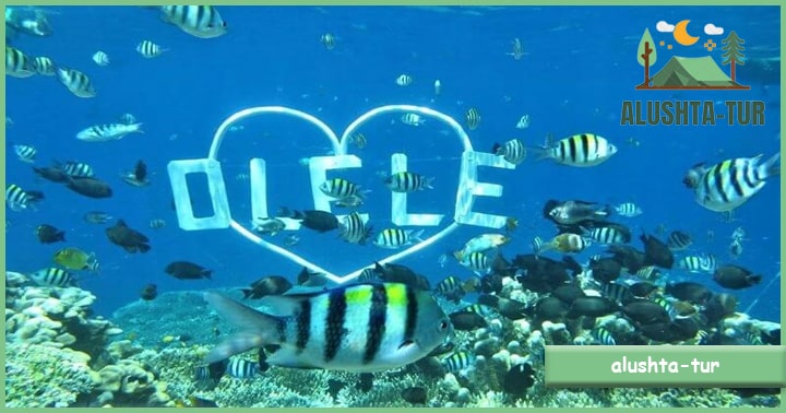 Taman Laut Olele | Alushta Tur