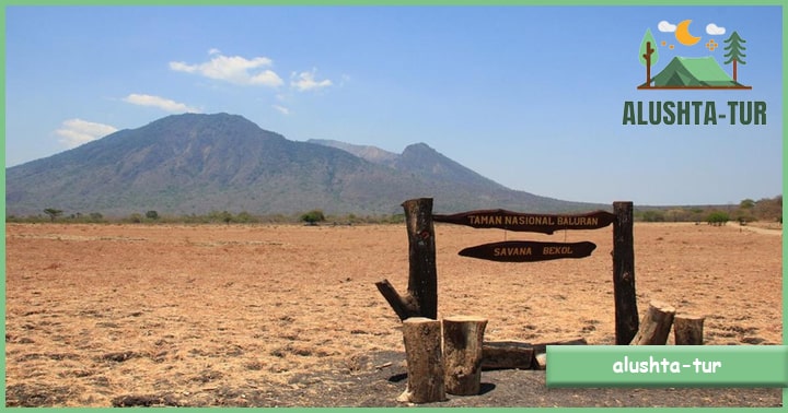 Taman Nasional Baluran | Alushta Tur