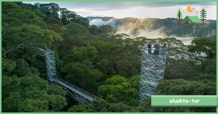 Wisata Brunei Darussalam Taman Nasional Ulu Temburong | Alushta Tur
