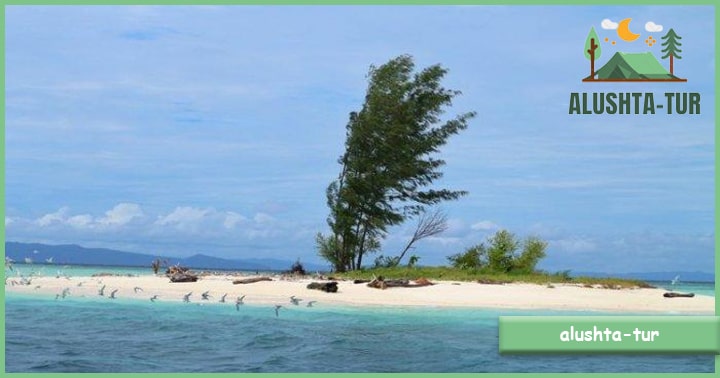 Pulau Batanta | Alushta Tur