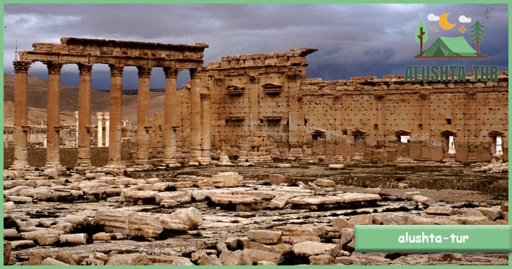 Palmyra