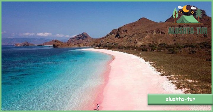 Aktivitas yang Bisa Dilakukan di Pantai Pink