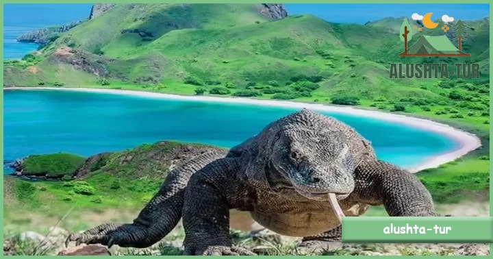Taman Nasional Komodo