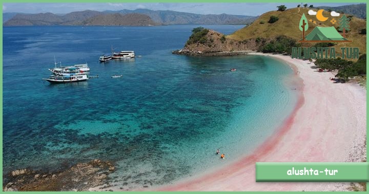 Tips Berwisata ke Pantai Pink